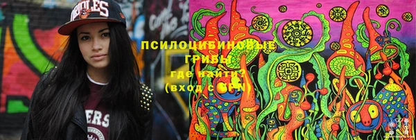 дживик Пересвет