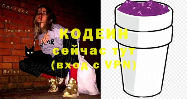 шишки Переславль-Залесский