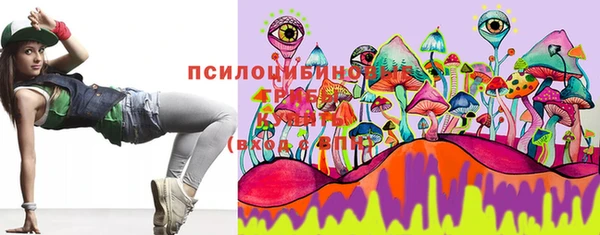 МДПВ Алзамай