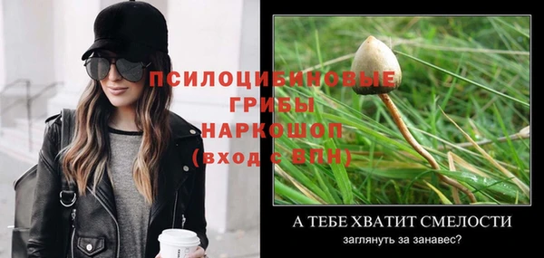 мет Пестово